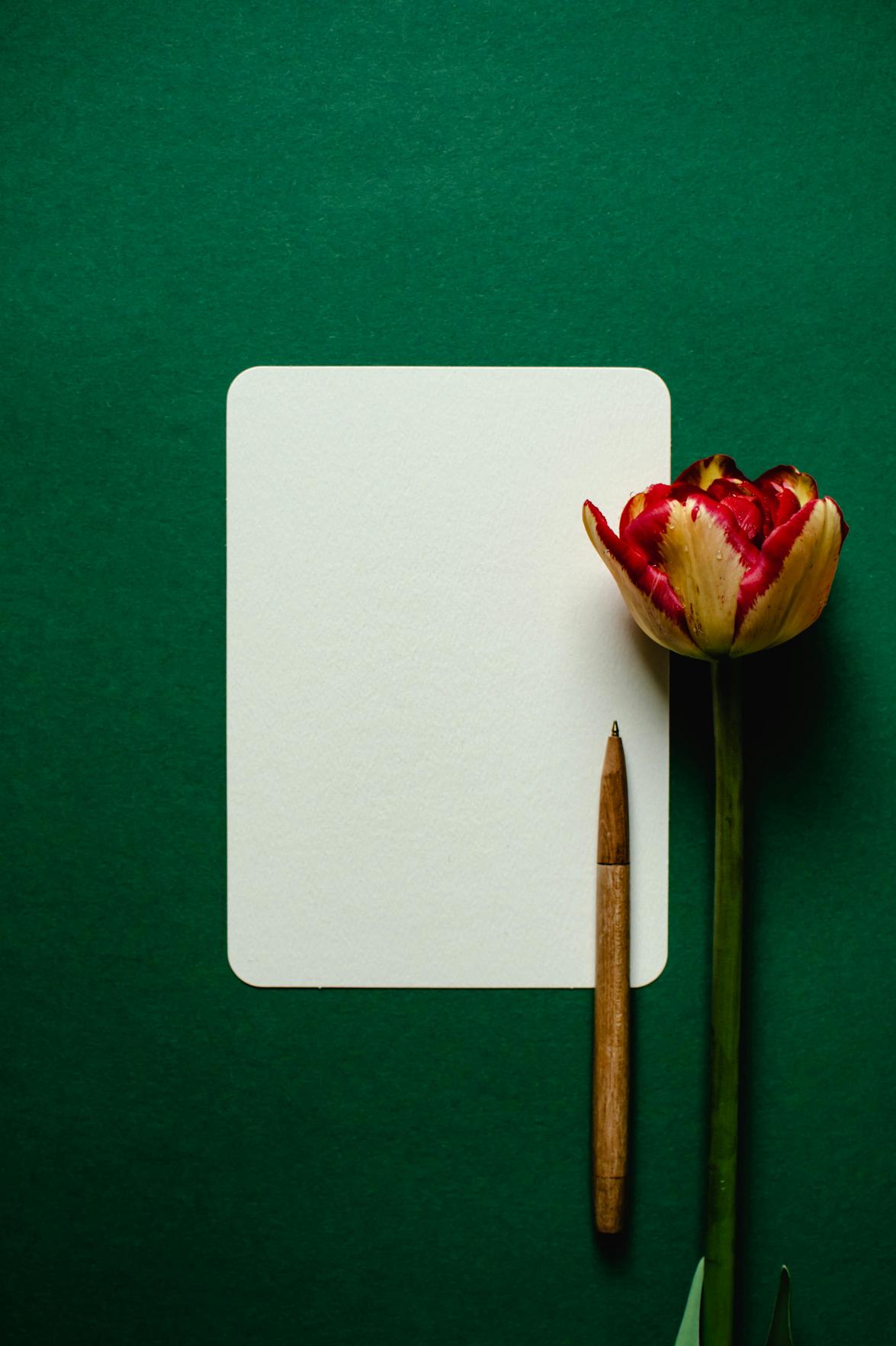 Tendências em Decoração de Consultórios: Dicas para Criar um Ambiente Funcional e Confortável