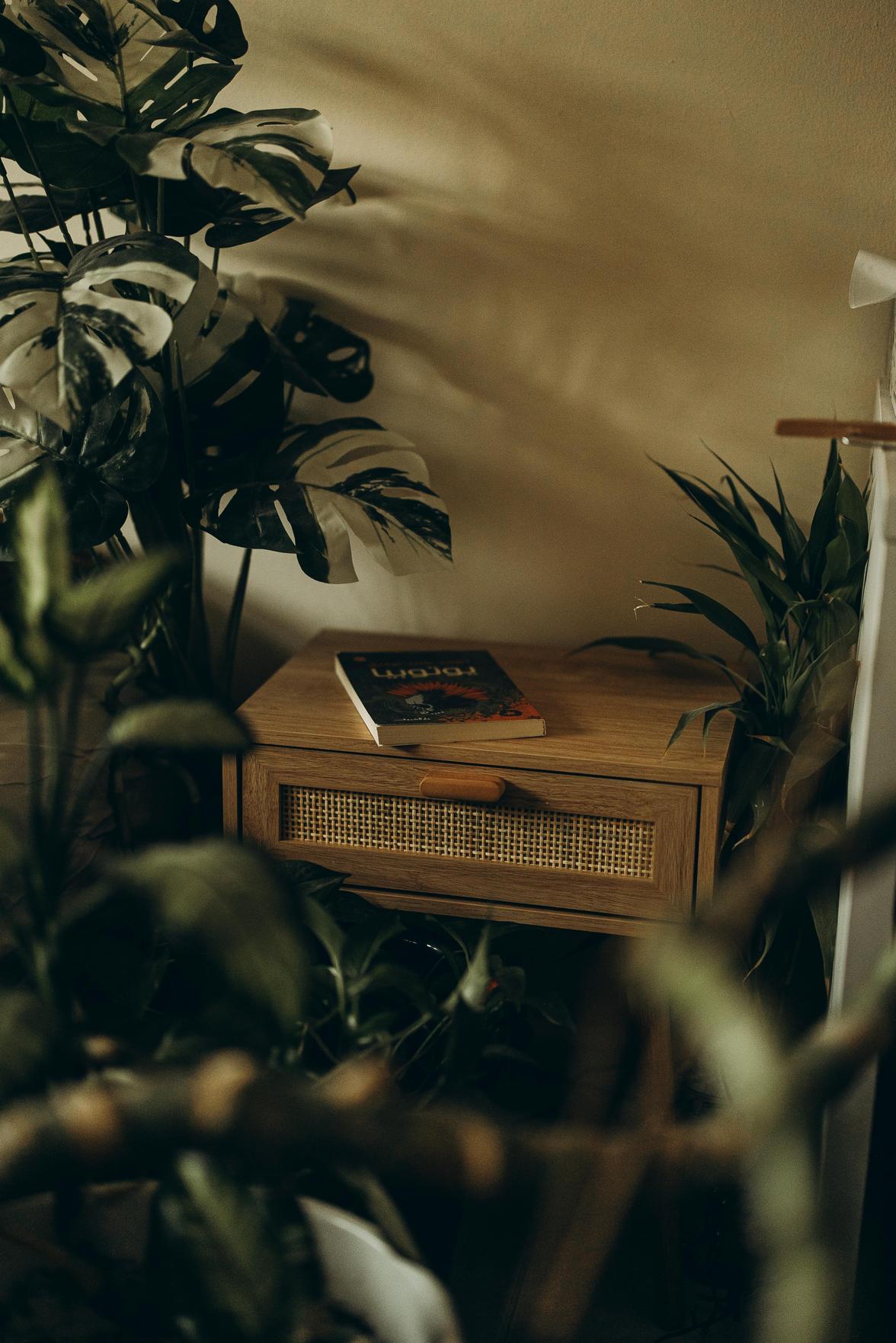 Transforme seu Consultório em um Ambiente Aconchegante e Funcional com Dicas de Decoração Criativa