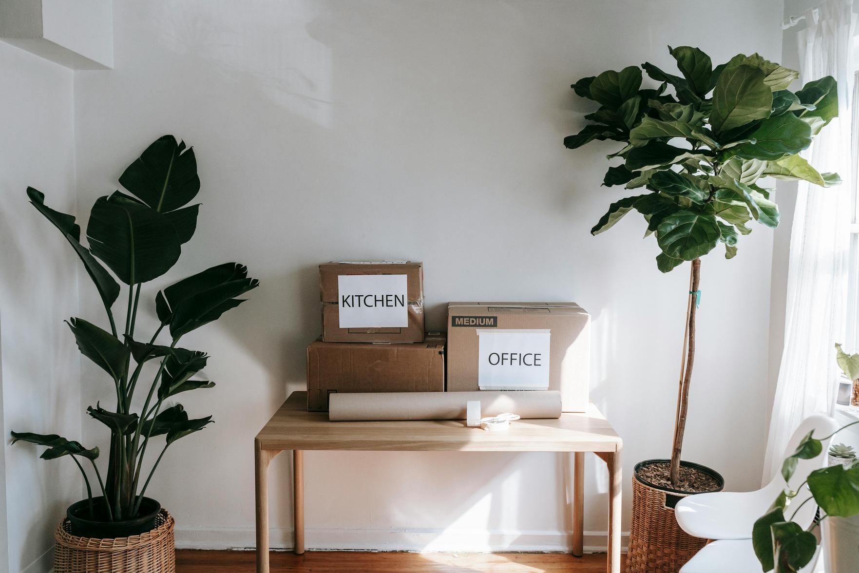 Sustentabilidade em Móveis: Soluções Funcionais para um Design de Interiores Confortável e Prático