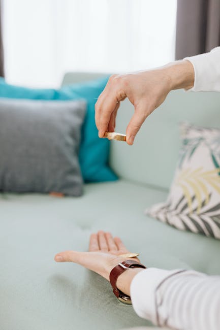 Como Proteger Seu Lar e Potencializar Seu Negócio com Cuidados em Casa e Decoração