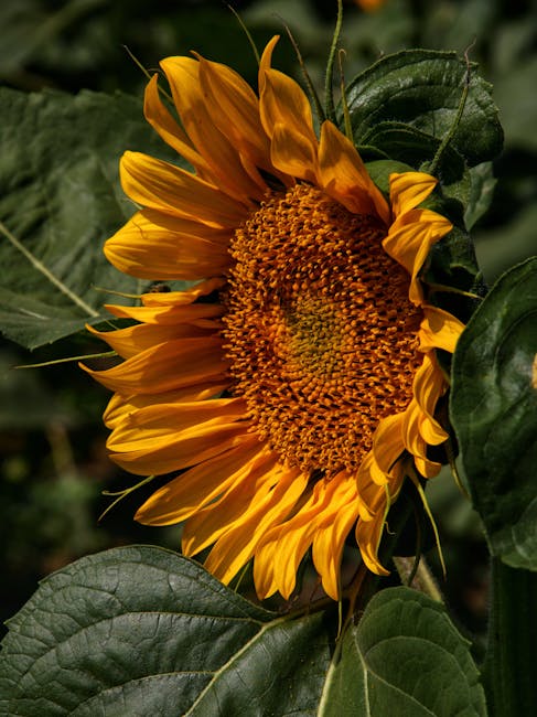 Transforme Seu Jardim: Os Sopradores de Folhas Mais Eficientes de 2026