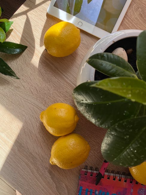 Transforme Seu Lar: Dicas de Decoração e Tecnologia para Ambientes Saudáveis