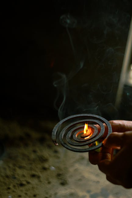 Como Proteger Sua Casa: Dicas para Evitar Infestações e Melhorar Seu Bem-Estar