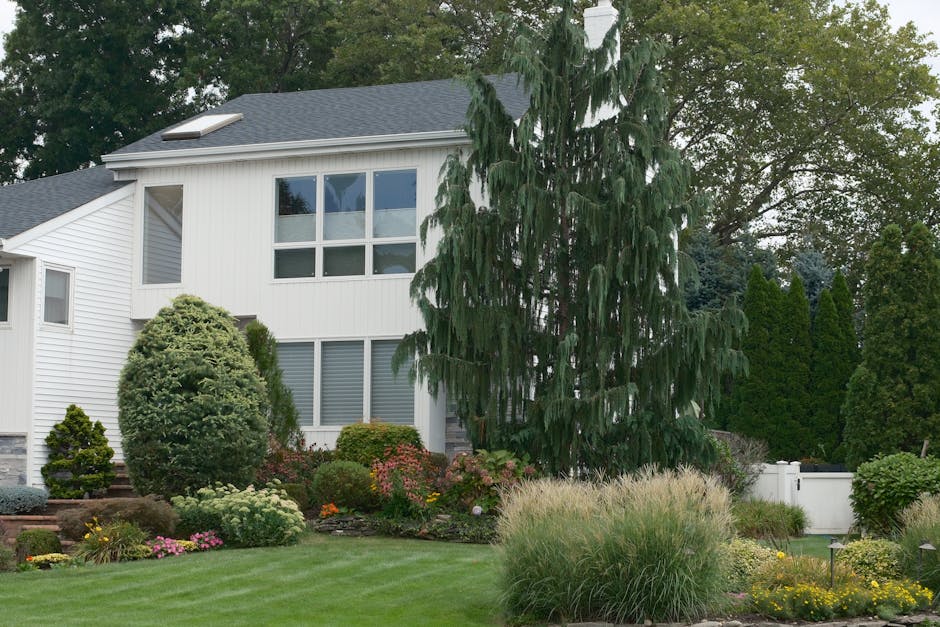 Transforme Seu Espaço: A Conexão Entre Jardinagem e Valorização Imobiliária