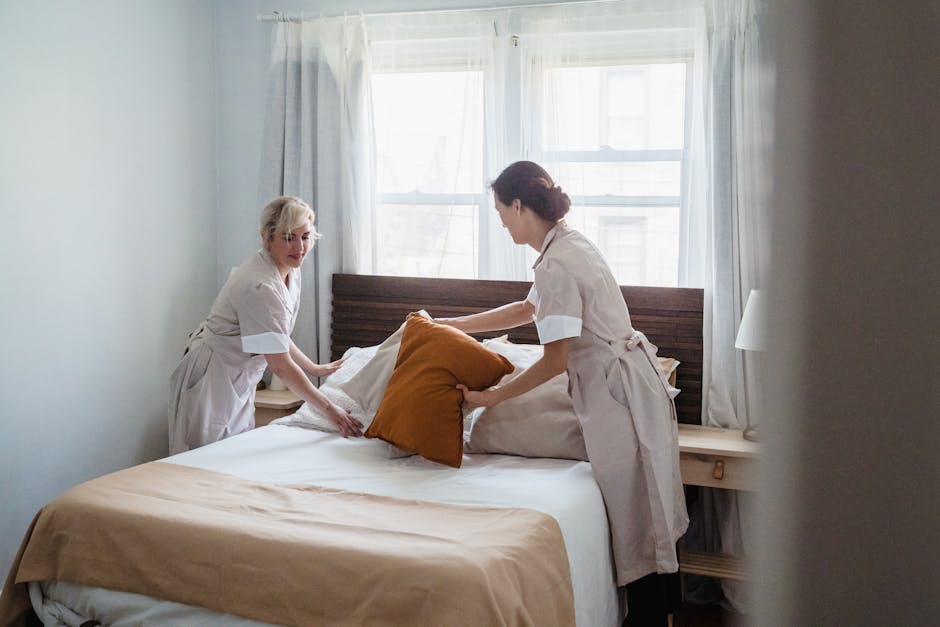 Como Criar um Lar Aconchegante: Integração Entre Casa, Decoração e Serviços Profissionais