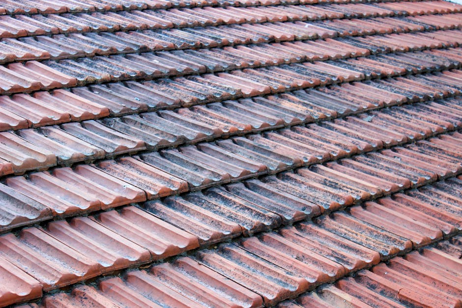 Transforme Sua Casa: Dicas de Decoração e Manutenção para Imóveis Duradouros