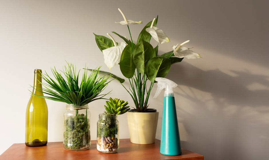 Transforme Sua Casa: Dicas de Decoração e Manutenção para Imóveis Bem Cuidados